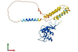 Protein Structure (PS) image for CD209b Antigen (CD209B) (AA 1-325) protein (His tag) (ABIN7559389)