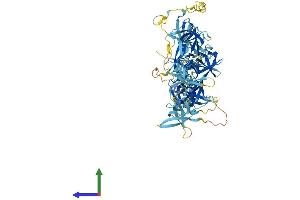 Protein Structure (PS) image for Cold Shock Domain Containing E1, RNA-Binding (CDSE1) (AA 1-798) protein (His tag) (ABIN7564791)