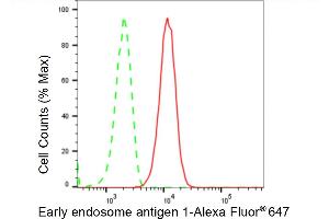 Flow cytometric analysis of Early endosome antigen 1 expression in HT- cells using Early endosome antigen 1 antibody (ABIN7798421), 1:2,000). (Rekombinanter EEA1 Antikörper)