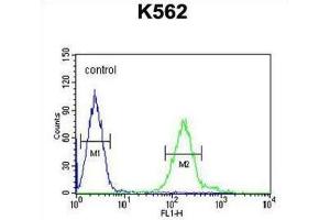 Flow Cytometry (FACS) image for anti-Retinol Dehydrogenase 16 (All-Trans) (RDH16) antibody (ABIN3002351)