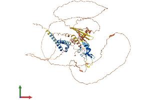 Protein Structure (PS) image for RING Finger Protein 6 (RNF6) (AA 1-667) protein (His tag) (ABIN7565010)