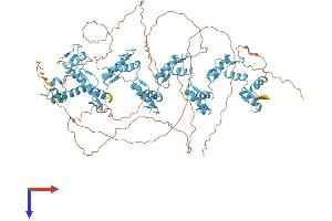 ZFP28 Protein (AA 1-868) (His tag)