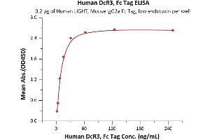 Immobilized Human LIGHT, Mouse IgG2a Fc Tag, low endotoxin (ABIN6253191,ABIN6253563) at 2 μg/mL (100 μL/well) can bind Human DcR3, Fc Tag (ABIN2181857,ABIN6938914) with a linear range of 2-31 ng/mL (QC tested). (TNFRSF6B Protein (AA 30-300) (Fc Tag))