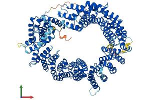 Protein Structure (PS) image for Importin 13 (IPO13) (AA 1-963) protein (His tag) (ABIN7564613)