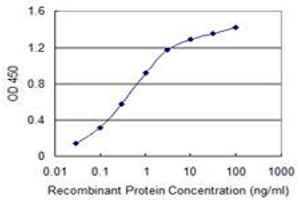 Detection limit for recombinant GST tagged MCM8 is 0. (MCM8 Antikörper  (AA 646-735))