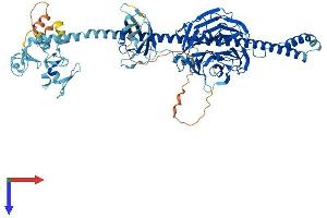 TRIM2 Protein (AA 1-744) (His tag)