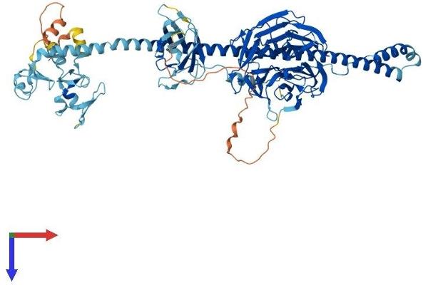 TRIM2 Protein (AA 1-744) (His tag)