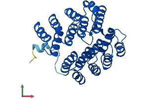 Protein Structure (PS) image for Deoxyhypusine Hydroxylase/monooxygenase (DOHH) (AA 1-302) protein (His tag) (ABIN7547225)