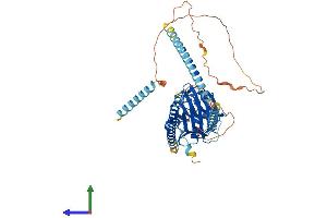 Protein Structure (PS) image for Neuronal Pentraxin Receptor (NPTXR) (AA 1-500) protein (His tag) (ABIN7549921)