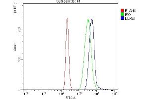 Flow Cytometry analysis of HL-60 cells using anti-LILRB1 antibody (ABIN7601409).