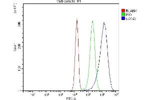 Flow Cytometry analysis of JK cells using anti-CD163 antibody (ABIN7602863).