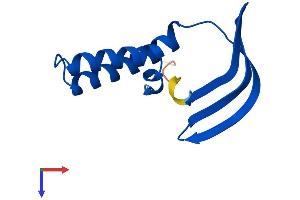 GTF2A2 Protein (AA 1-109) (His tag)