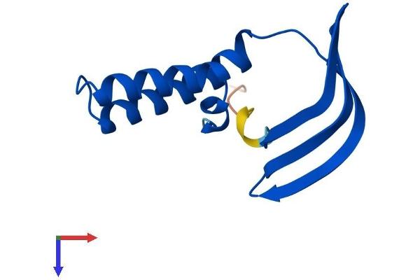 GTF2A2 Protein (AA 1-109) (His tag)