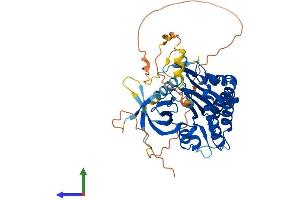 Protein Structure (PS) image for Inositol Hexakisphosphate Kinase 1 (IP6K1) (AA 1-433) protein (His tag) (ABIN7558040)