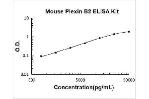 Plexin B2 (PLXNB2) ELISA Kit