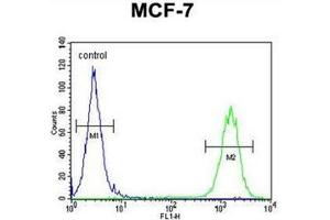 Flow Cytometry (FACS) image for anti-CTD (Carboxy-Terminal Domain, RNA Polymerase II, Polypeptide A) Small Phosphatase Like 2 (CTDSPL2) (AA 55-84), (N-Term) antibody (ABIN951727)