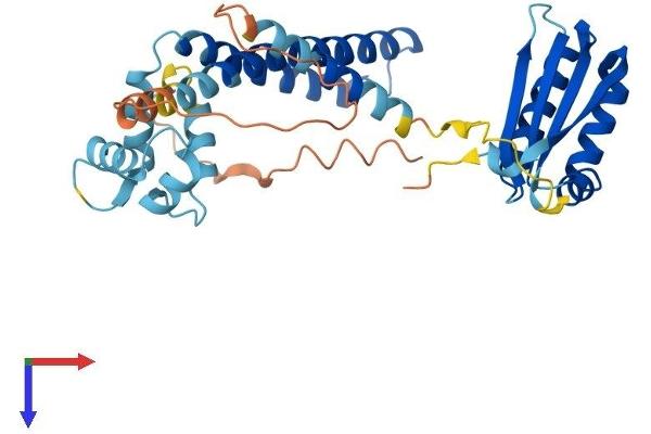 NECAB3 Protein (AA 1-353) (His tag)