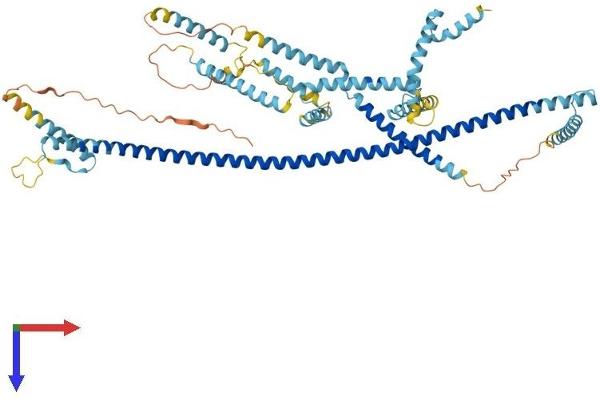 CEP70 Protein (AA 1-616) (His tag)