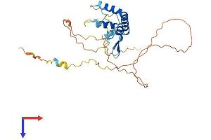SPRY3 Protein (AA 1-288) (His tag)