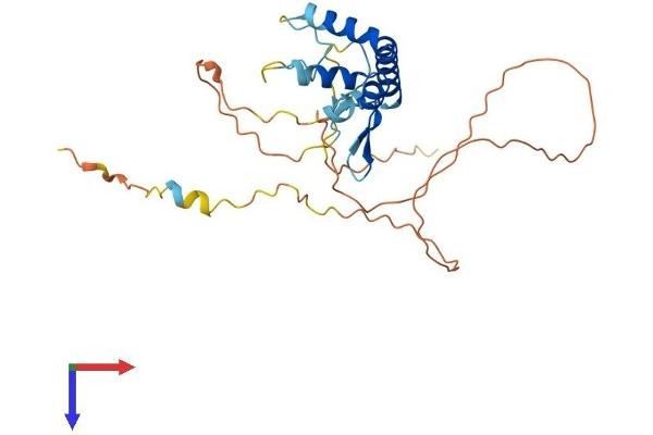 SPRY3 Protein (AA 1-288) (His tag)