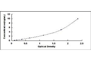 Typical standard curve (CD3D ELISA Kit)