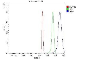 Flow Cytometry analysis of HepG2 cells using anti-OIP5 antibody (ABIN7599121). (OIP5 Antikörper  (AA 1-229))