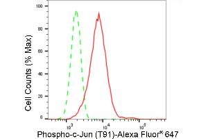 Flow cytometric analysis of Phospho-c-Jun (T91) expression in C2C12 cells using Phospho-c-Jun (T91) antibody (ABIN7799146), 1:2,000). (Rekombinanter C-JUN Antikörper  (pThr91))