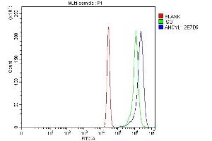 Flow Cytometry analysis of K562 cells using anti-IRBIT/AHCYL1 antibody (ABIN7600029). (AHCYL1 Antikörper  (AA 14-57))