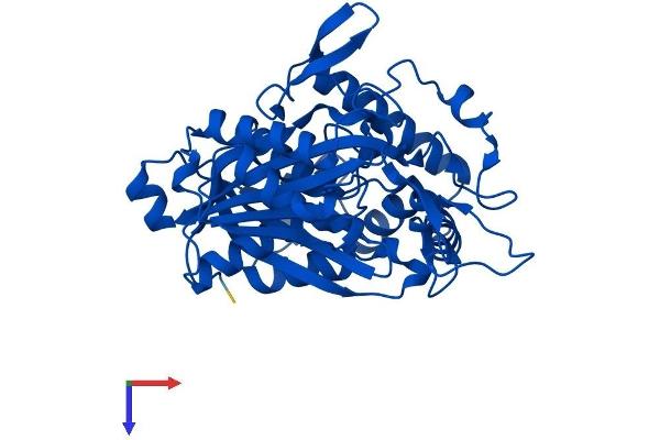 ACAA2 Protein (AA 1-397) (His tag)