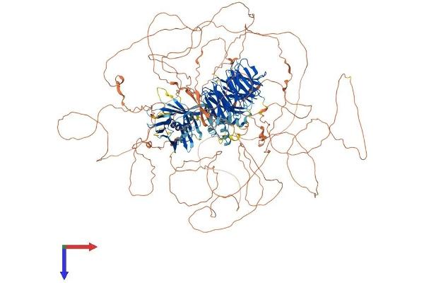 TULP4 Protein (AA 1-1543) (His tag)