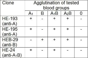 Aggregation (AGG) image for anti-ABO, Blood Group A Antigen antibody (ABIN7014009) (ABO, Blood Group A Antigen Antikörper)