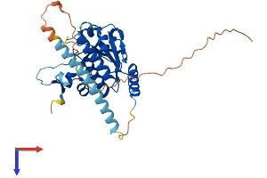 RG9MTD3 Protein (AA 1-318) (His tag)