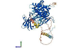 Protein Structure (PS) image for SUMO1 Activating Enzyme Subunit 2 (UBA2) (AA 1-638) protein (His tag) (ABIN7556381)