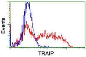 Image no. 2 for anti-TRAF Interacting Protein (TRAIP) (AA 67-313) antibody (ABIN1491631) (TRAIP Antikörper  (AA 67-313))