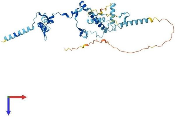 RRS1 Protein (AA 1-365) (His tag)