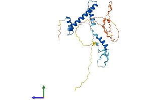 Protein Structure (PS) image for RNA Polymerase II TBP-Associated Factor Subunit G (TAF9) (AA 1-264) protein (His tag) (ABIN7559945)
