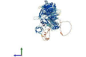 Protein Structure (PS) image for Myosin IF (MYO1F) (AA 1-1099) protein (His tag) (ABIN7563518)