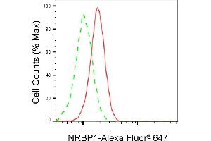 Flow cytometric analysis of NRBP1 expression in C2C12 cells using NRBP1 antibody (ABIN7799649), 1:2,000). (NRBP1 Antikörper)