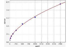 Interleukin 23, alpha subunit p19 (IL23A) ELISA Kit