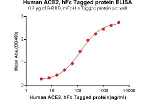 ELISA plate pre-coated by 2 μg/mL (100 μL/well) S-RBD, mFc-His tagged protein (ABIN6961147, ABIN7042323 and ABIN7042324)] can bind Human , hFc Tagged protein (ABIN6961131, ABIN7042291 and ABIN7042292) in a linear range of 0.