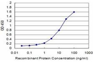 Detection limit for recombinant GST tagged GRIA1 is approximately 0. (Glutamate Receptor 1 Antikörper  (AA 201-300))