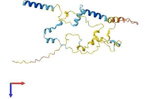 MYOZ2 Protein (AA 1-264) (His tag)