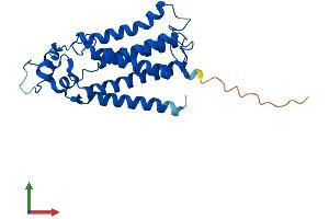 Protein Structure (PS) image for Phosphatidic Acid Phosphatase Type 2 Domain Containing 1B (PPAPDC1B) (AA 1-260) protein (His tag) (ABIN7557235)