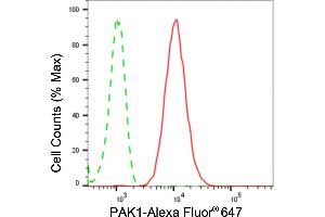 Flow cytometric analysis of PAK1 expression in HepG2 cells using PAK1 antibody (ABIN7799718), 1:2,000).
