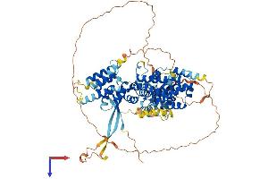 RGL1 Protein (AA 1-768) (His tag)