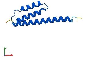 Protein Structure (PS) image for LYR Motif Containing 5 (LYRM5) (AA 1-86) protein (His tag) (ABIN7559971)