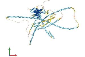 Protein Structure (PS) image for Kinesin Family Member 15 (KIF15) (AA 1-1387) protein (His tag) (ABIN7564098)