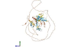 Protein Structure (PS) image for Hypermethylated in Cancer 2 (HIC2) (AA 1-619) protein (His tag) (ABIN7561687)