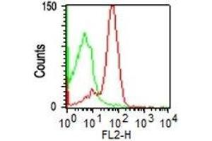 Flow Cytometry of PBMC using CD43 Monoclonal Antibody (SPM503) (red) or isotype control (green)