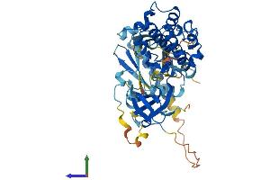 AlphaFold protein structure predicition of Mouse Recombinant Akt1 Protein, UniprotID P31750 (AKT1 Protein (AA 1-480) (His tag))